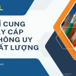 Mua dây cáp viễn thông ở đâu uy tín? Tránh 5 sai lầm tốn tiền
