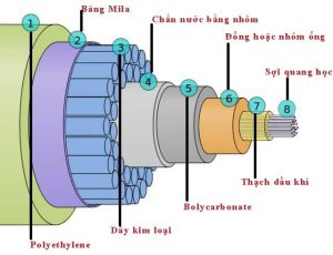 Cáp quang biển là gì? Vì sao đứt cáp làm internet quốc tế chậm (2026)