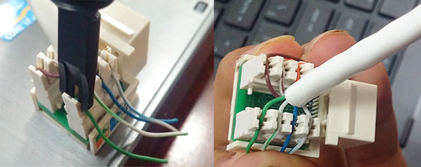 bấm dây mạng 8 sợi