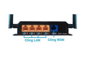 cổng lan và wan