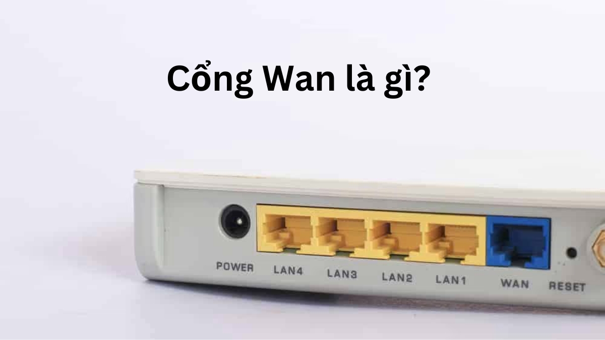 Cổng Wan là gì?