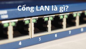 cổng lan là gì