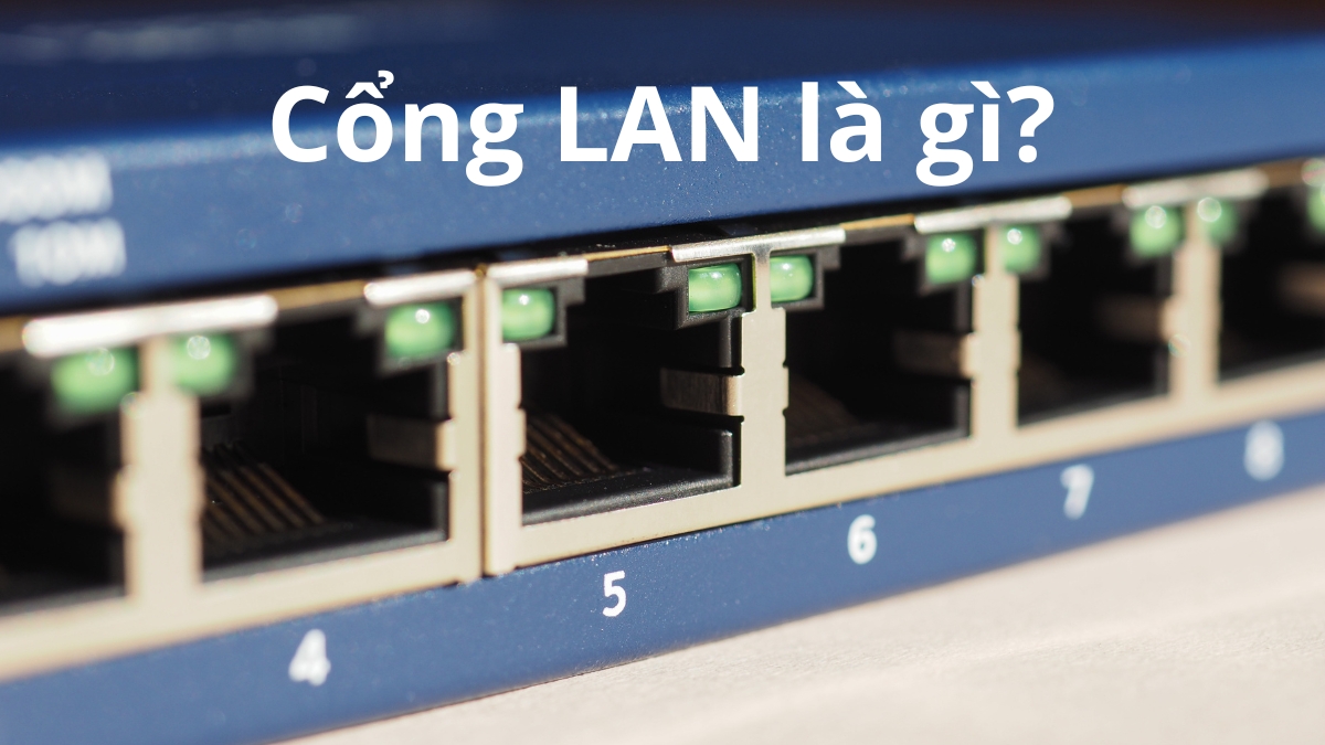 cắm dây mạng vào cổng lan