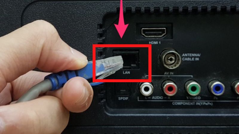 cổng lan trên tivi là gì