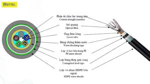 Cáp quang Singlemode