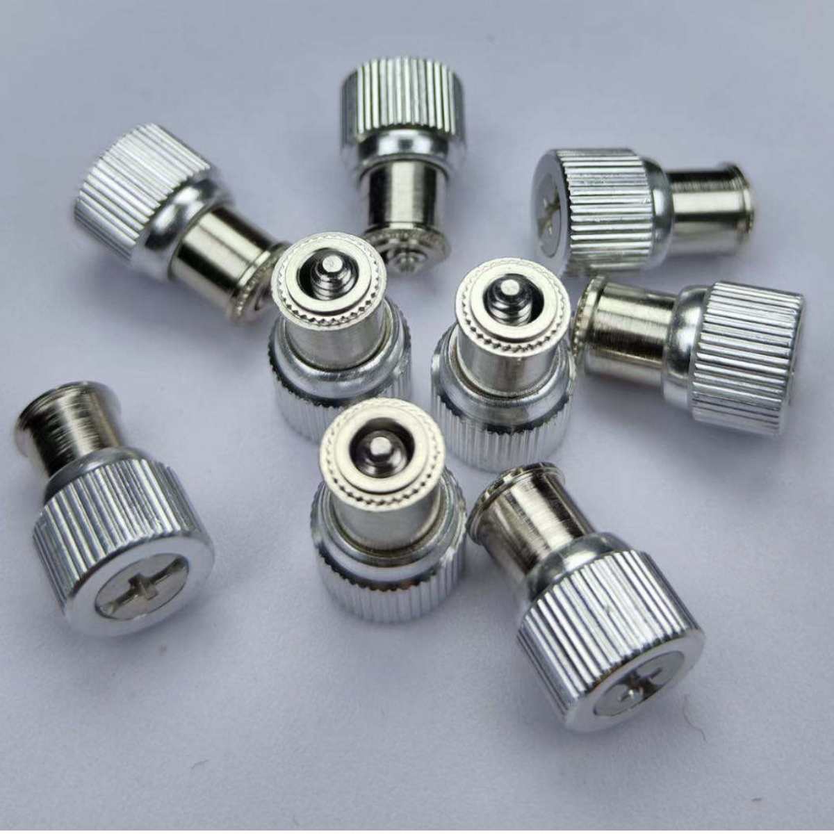 Ốc nhảy - Hình ảnh 4