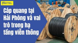 Cáp quang tại Hải Phòng và vai trò trong hạ tầng viễn thông