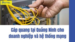 Cáp quang tại Quảng Ninh cho doanh nghiệp và hệ thống mạng